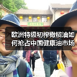 欧洲特级初榨橄榄油如何抢占中国健康油市场？