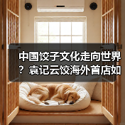 新加坡首店传递东方文化：中国饺子如何征服狮城？-哉互尼烹饪网