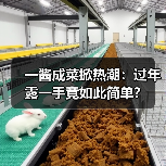 一酱成菜掀热潮：过年露一手竟如此简单？