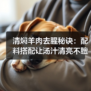 清焖羊肉去腥秘诀:配料搭配让汤汁清亮不膻(图4) 清焖羊肉去腥秘诀:配料搭配让汤汁清亮不膻(图4)