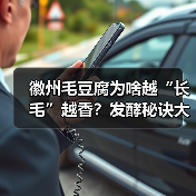 徽州毛豆腐为啥越“长毛”越香?发酵秘诀大公开!(图3) 徽州毛豆腐为啥越“长毛”越香?发酵秘诀大公开!(图3)