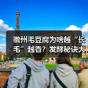 徽州毛豆腐为啥越“长毛”越香?发酵秘诀大公开!(图4) 徽州毛豆腐为啥越“长毛”越香?发酵秘诀大公开!(图4)