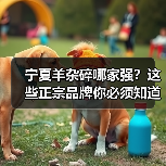 宁夏羊杂碎哪家强?这些正宗品牌你必须知道!(图4) 宁夏羊杂碎哪家强?这些正宗品牌你必须知道!(图4)
