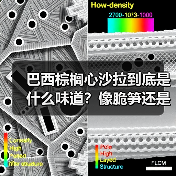巴西棕榈心沙拉到底是什么味道?像脆笋还是嫩玉米?(图2) 巴西棕榈心沙拉到底是什么味道?像脆笋还是嫩玉米?(图2)