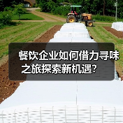 餐饮企业如何借力寻味之旅探索新机遇?(图3) 餐饮企业如何借力寻味之旅探索新机遇?(图3)