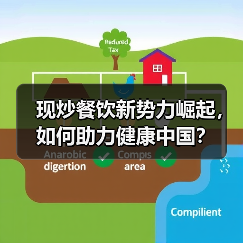 现炒餐饮新势力崛起,如何助力健康中国?(图3) 现炒餐饮新势力崛起,如何助力健康中国?(图3)