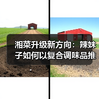 湘菜升级新方向:辣妹子如何以复合调味品推动湘粤融合?(图1) 湘菜升级新方向:辣妹子如何以复合调味品推动湘粤融合?(图1)