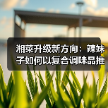 湘菜升级新方向:辣妹子如何以复合调味品推动湘粤融合?(图3) 湘菜升级新方向:辣妹子如何以复合调味品推动湘粤融合?(图3)