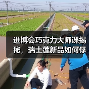 进博会巧克力大师课揭秘，瑞士莲新品如何俘获中国市场（图2）