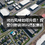 烤肉风味如何升级？探索创新调味料搭配新机遇
