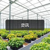 资讯(图1) 资讯(图1)