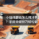 小鸡炖蘑菇怎么炖才香?掌握关键技巧轻松做出地道美味(图4) 小鸡炖蘑菇怎么炖才香?掌握关键技巧轻松做出地道美味(图4)