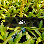 资讯