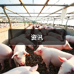 资讯(图1) 资讯(图1)