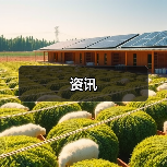 资讯(图4) 资讯(图4)