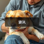 资讯(图1) 资讯(图1)