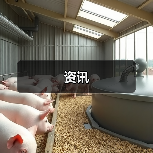 资讯(图4) 资讯(图4)