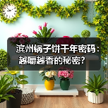 滨州锅子饼千年密码:越嚼越香的秘密?(图3) 滨州锅子饼千年密码:越嚼越香的秘密?(图3)