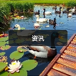 资讯（图2）