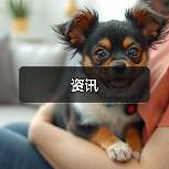 资讯（图2）