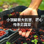 小馆藏着大智慧，匠心传承见真章