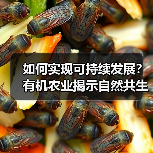 如何实现可持续发展?有机农业揭示自然共生之道(图3) 如何实现可持续发展?有机农业揭示自然共生之道(图3)