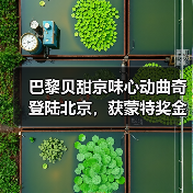 巴黎贝甜京味心动曲奇登陆北京,获蒙特奖金奖(图3) 巴黎贝甜京味心动曲奇登陆北京,获蒙特奖金奖(图3)