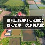 巴黎贝甜京味心动曲奇登陆北京,获蒙特奖金奖(图4) 巴黎贝甜京味心动曲奇登陆北京,获蒙特奖金奖(图4)