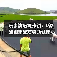 乐事鲜焙裸米饼：0添加创新配方引领健康零食新风尚（图2）