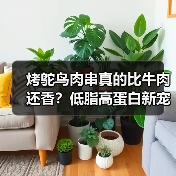 烤鸵鸟肉串真的比牛肉还香?低脂高蛋白新宠(图3) 烤鸵鸟肉串真的比牛肉还香?低脂高蛋白新宠(图3)