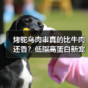 烤鸵鸟肉串真的比牛肉还香?低脂高蛋白新宠(图4) 烤鸵鸟肉串真的比牛肉还香?低脂高蛋白新宠(图4)