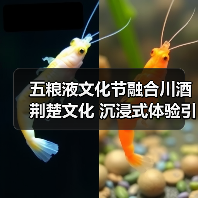 五粮液文化节融合川酒荆楚文化 沉浸式体验引热议（图3）
