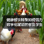 健康餐饮转型如何借力数字化赋能团餐及学生营养餐？（图4）