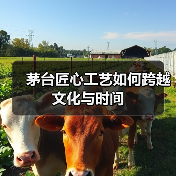 茅台匠心工艺如何跨越文化与时间(图1) 茅台匠心工艺如何跨越文化与时间(图1)