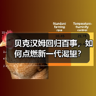 贝克汉姆回归百事，如何点燃新一代渴望？（图3）