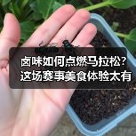 卤味如何点燃马拉松?这场赛事美食体验太有烟火气(图3) 卤味如何点燃马拉松?这场赛事美食体验太有烟火气(图3)