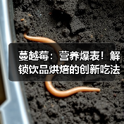 蔓越莓：营养爆表！解锁饮品烘焙的创新吃法（图3）