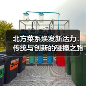 北方菜系焕发新活力：传统与创新的碰撞之路