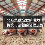 北方菜系焕发新活力:传统与创新的碰撞之路(图2) 北方菜系焕发新活力:传统与创新的碰撞之路(图2)