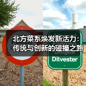 北方菜系焕发新活力:传统与创新的碰撞之路(图4) 北方菜系焕发新活力:传统与创新的碰撞之路(图4)