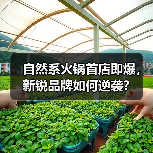 自然系火锅首店即爆，新锐品牌如何逆袭？（图4）
