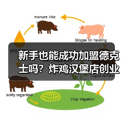 新手也能成功加盟德克士吗？炸鸡汉堡店创业全解析（图4）