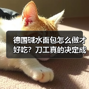 德国碱水面包怎么做才好吃?刀工真的决定成败吗?(图4) 德国碱水面包怎么做才好吃?刀工真的决定成败吗?(图4)