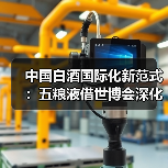 中国白酒国际化新范式：五粮液借世博会深化文化输出