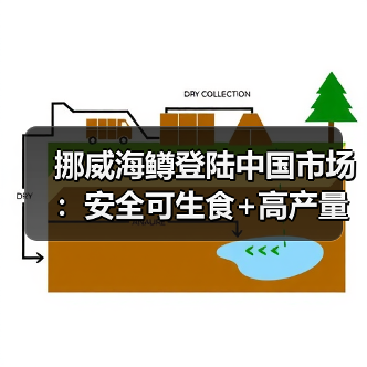 挪威海鳟登陆中国市场:安全可生食+高产量引爆健康食尚(图1) 挪威海鳟登陆中国市场:安全可生食+高产量引爆健康食尚(图1)