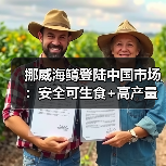 挪威海鳟登陆中国市场:安全可生食+高产量引爆健康食尚(图3) 挪威海鳟登陆中国市场:安全可生食+高产量引爆健康食尚(图3)