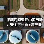 挪威海鳟登陆中国市场:安全可生食+高产量引爆健康食尚(图4) 挪威海鳟登陆中国市场:安全可生食+高产量引爆健康食尚(图4)