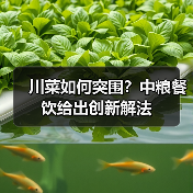 川菜如何突围?中粮餐饮给出创新解法(图1) 川菜如何突围?中粮餐饮给出创新解法(图1)