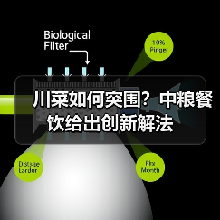 川菜如何突围?中粮餐饮给出创新解法(图3) 川菜如何突围?中粮餐饮给出创新解法(图3)