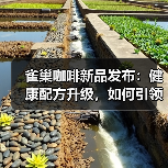 雀巢咖啡新品发布:健康配方升级,如何引领咖啡新趋势?(图3) 雀巢咖啡新品发布:健康配方升级,如何引领咖啡新趋势?(图3)
